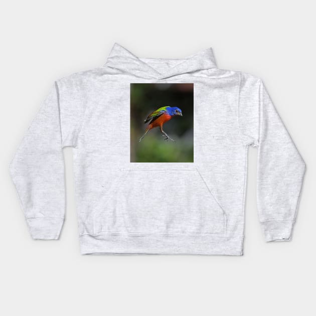 Painted Bunting Bird in Suspension Kids Hoodie by candiscamera